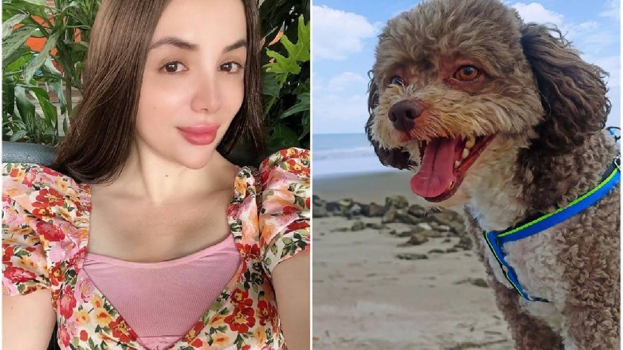 Em ação heroica, advogada morre ao proteger cachorro durante terremoto na Colômbia