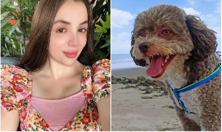 Em ação heroica, advogada morre ao proteger cachorro durante terremoto na Colômbia