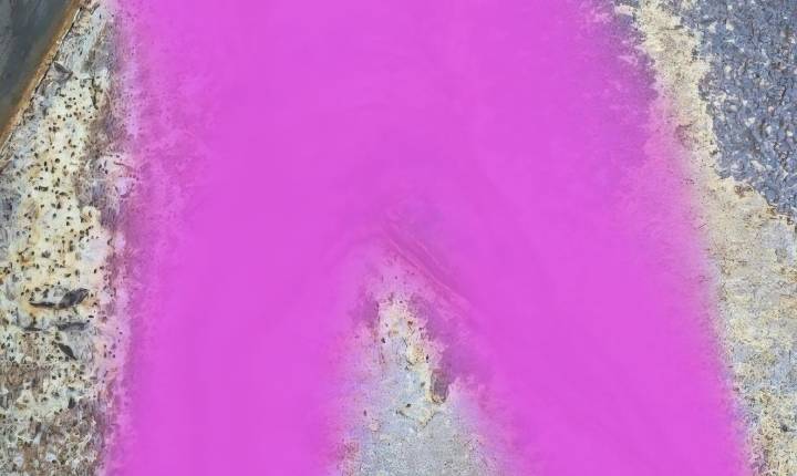 Corpo de mulher é encontrado em estado avançado de decomposição no interior de Casa Nova-BA