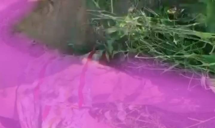 Homem é brutalmente assassinado no Projeto N-8, em Petrolina-PE