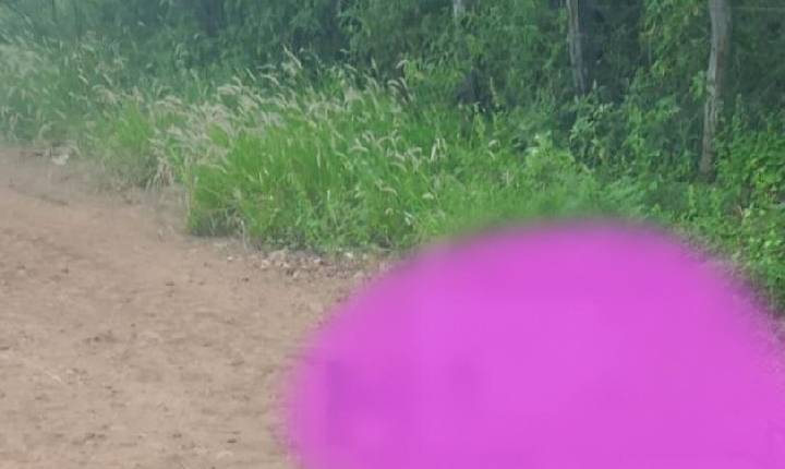 Homem têm vida ceifada no interior de Juazeiro-BA; esse é o segundo homicídio em menos de 12h na cidade