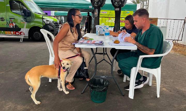 Parceria entre Secretaria de Saúde de Lagoa Grande e Governo de PE atende mais de 250 animais através do castramóvel