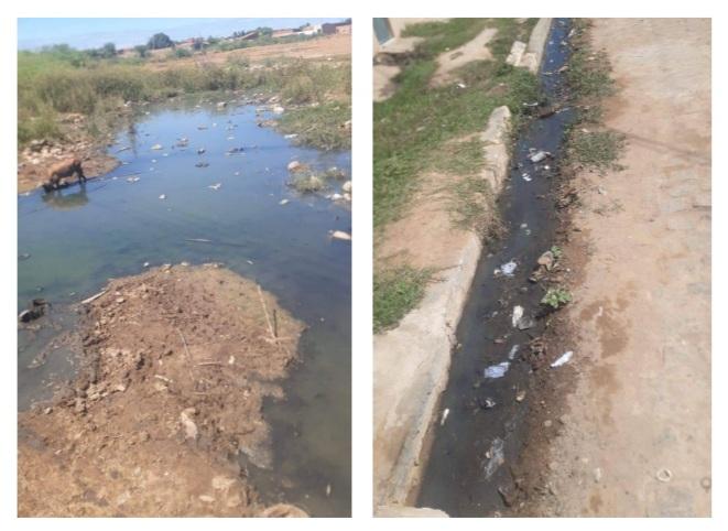 Moradores do distrito de Izacolândia, em Petrolina-PE denunciam esgoto a céu aberto em vias públicas