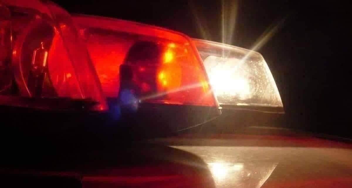 Duplo homicídio: Criança é encontrada morta em boca de crocodilo e mãe assassinada com mais de 100 facadas