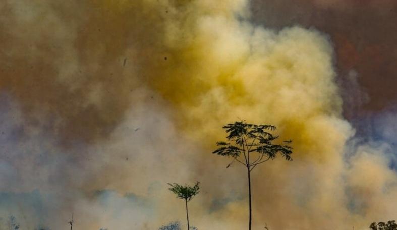 Incidência de fumaça em Izacolândia deixa moradores da referida comunidade e de Lagoa Grande revoltados; Vigilância Sanitária de Petrolina responde
