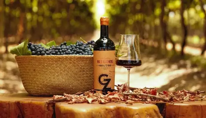 Vinhos do Vale do São Francisco garantem Ouro e Prata no Brasil Selection by Concours Mondial de Bruxelles