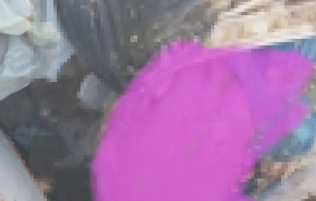 Corpo de recém-nascido é encontrado dentro do saco de lixo em carro de coleta no bairro João de Deus, em Petrolina-PE