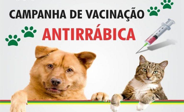 Secretaria de Saúde de Lagoa Grande-PE segue realizando a Campanha de vacinação antirrábica; veja o cronograma