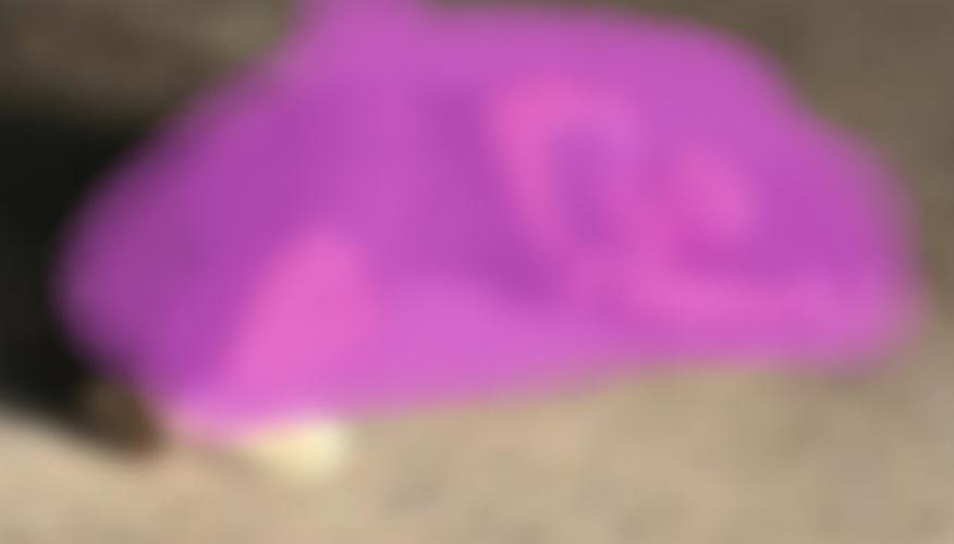 Homem é surpreendido e morto a tiros no bairro Dom Avelar, em Petrolina-PE