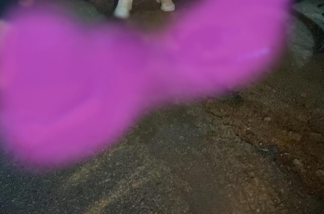 Homem fica gravemente ferido depois de sofrer acidente no interior de Juazeiro-BA