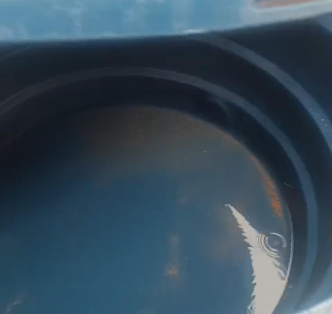 Moradora de Izacolândia com filha portadora de necessidades especiais solicita caminhão-pipa a Compesa, mas, fica sem assistência