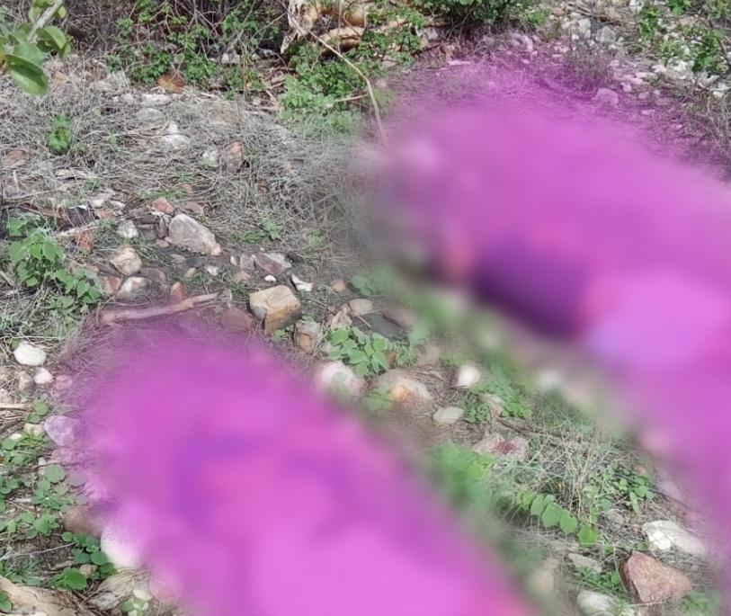 Duas pessoas morrem depois de sofrerem acidente de trânsito em Sobradinho-BA