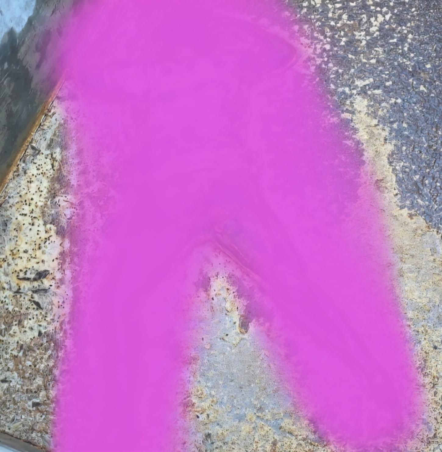 Corpo de mulher é encontrado em estado avançado de decomposição no interior de Casa Nova-BA