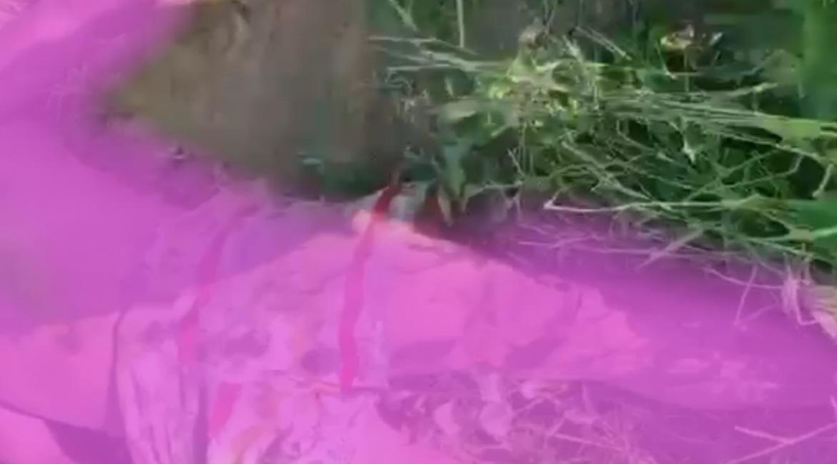 Homem é brutalmente assassinado no Projeto N-8, em Petrolina-PE