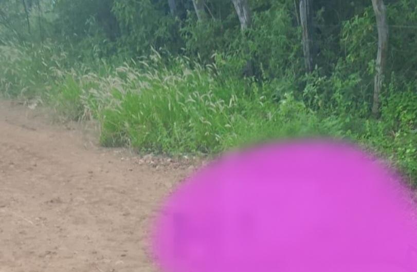 Homem têm vida ceifada no interior de Juazeiro-BA; esse é o segundo homicídio em menos de 12h na cidade