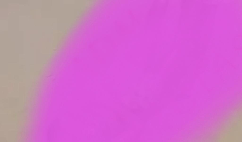 Requintes de crueldade: Corpo com as mãos amarradas e sem a cabeça é encontrado na Bahia