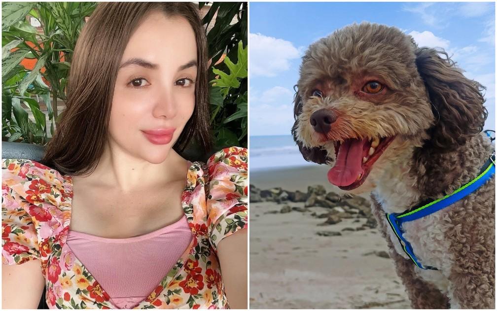 Em ação heroica, advogada morre ao proteger cachorro durante terremoto na Colômbia