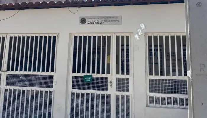 Eleitores de Lagoa Grande e outras cidades vão às urnas neste domingo (04) para elegerem deputados federal e estadual, senadores, governador e presidente; saiba mais aqui